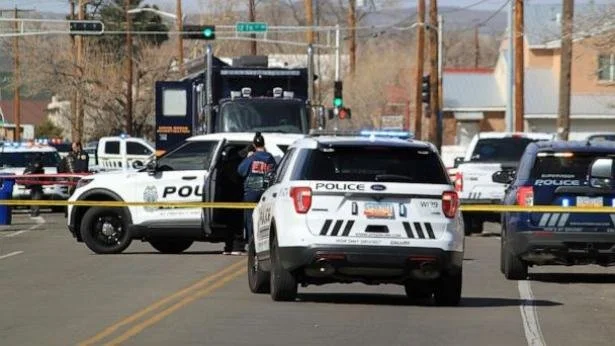 The Second Amendment