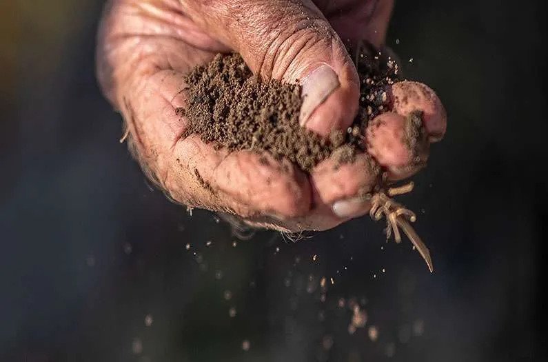 40% of their study area used no till farming. Researchers asked what if it was 100%? Results were astounding.