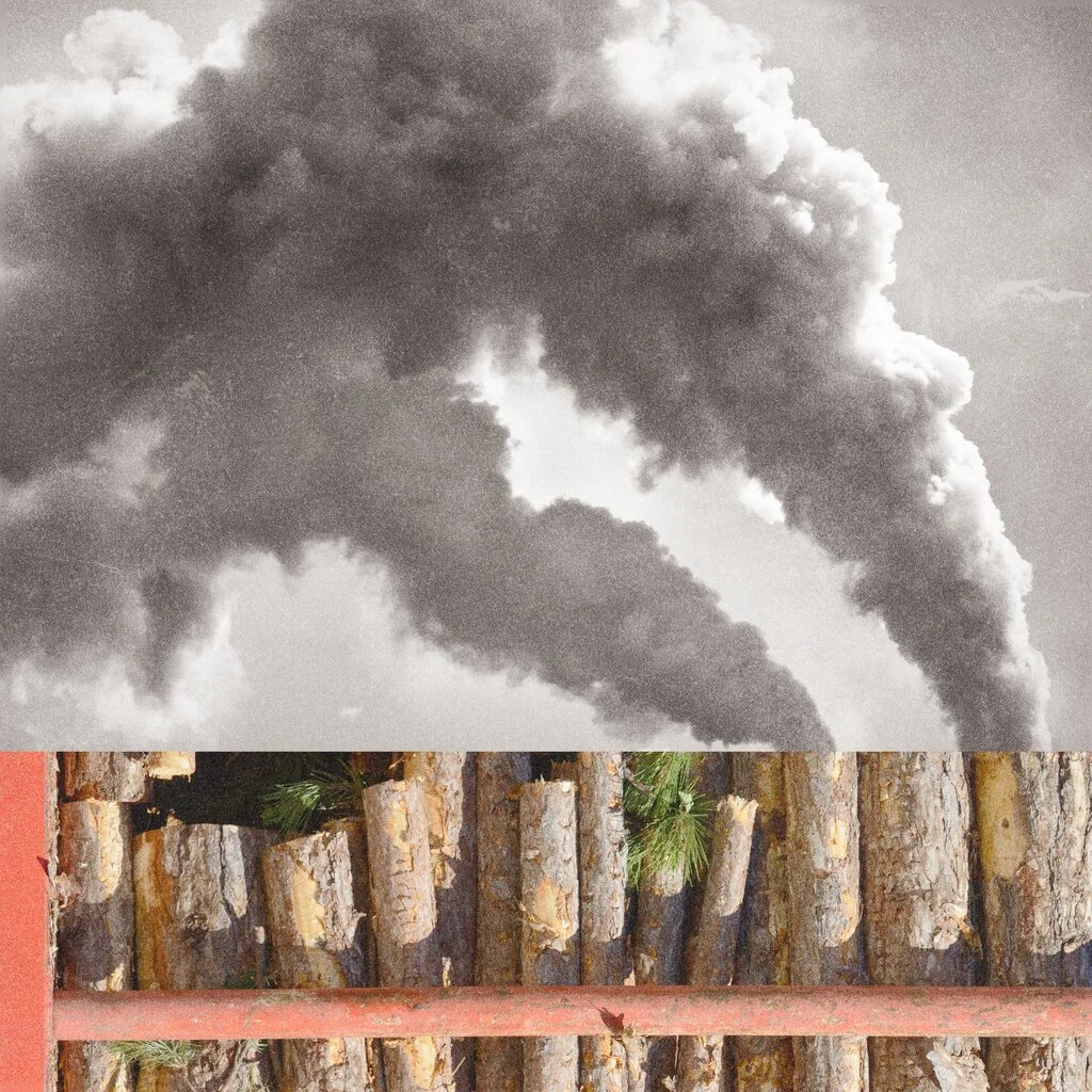 Wildfires pump greenhouse gases into the atmosphere and carbon offsets are no longer looking effective