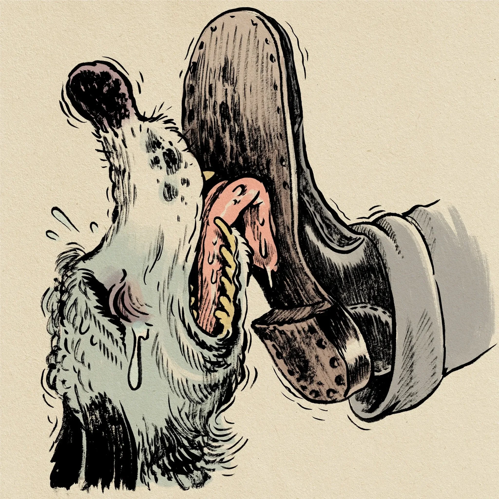 Democracy’s Assassins Always Have Accomplices