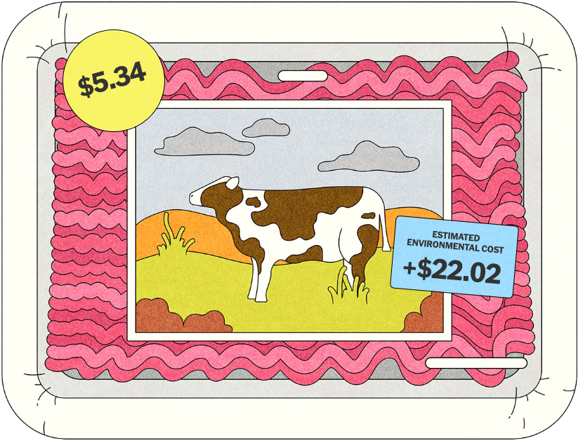 The Hidden Environmental Costs of Food