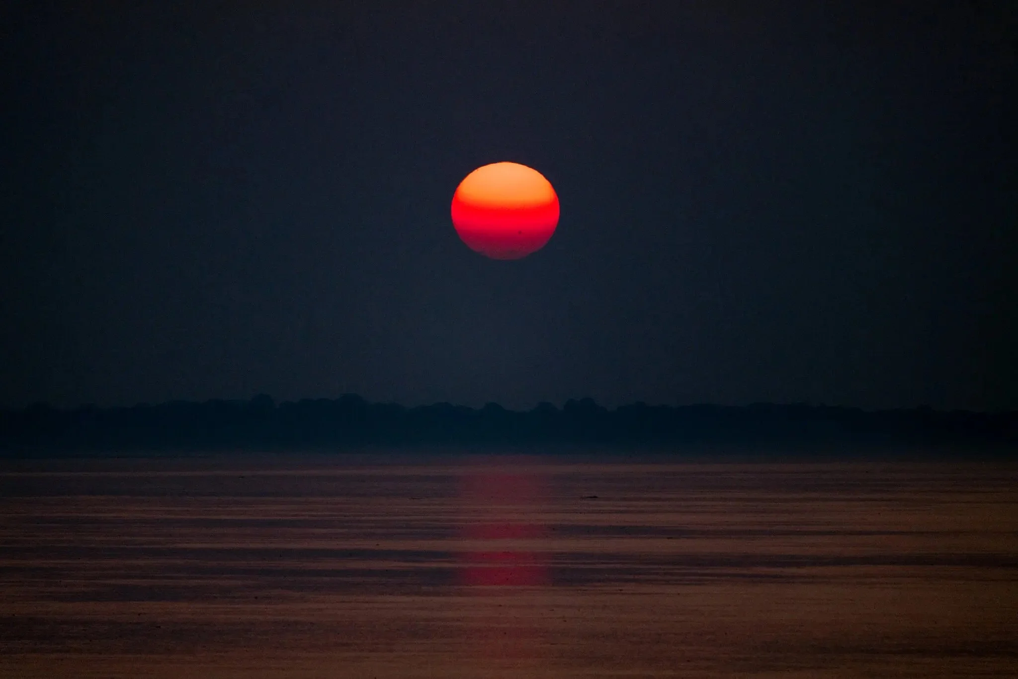 Confronting Our New Reality