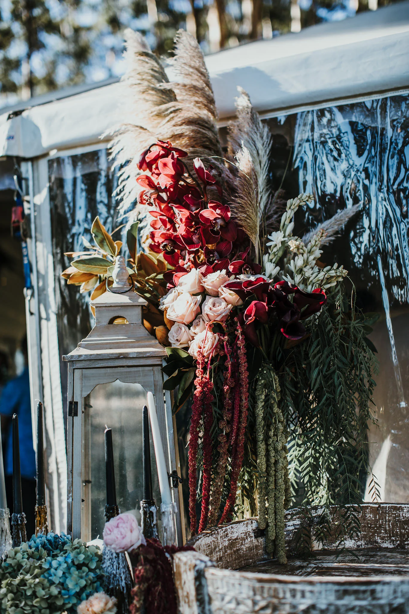 carly&jared(671of1031).jpg