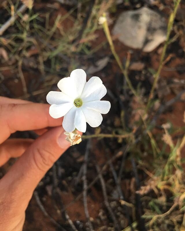 Beauty still lives amongst the harshest environments. 
Open your eyes.