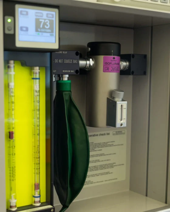 Update on the new Anaesthesia Machine