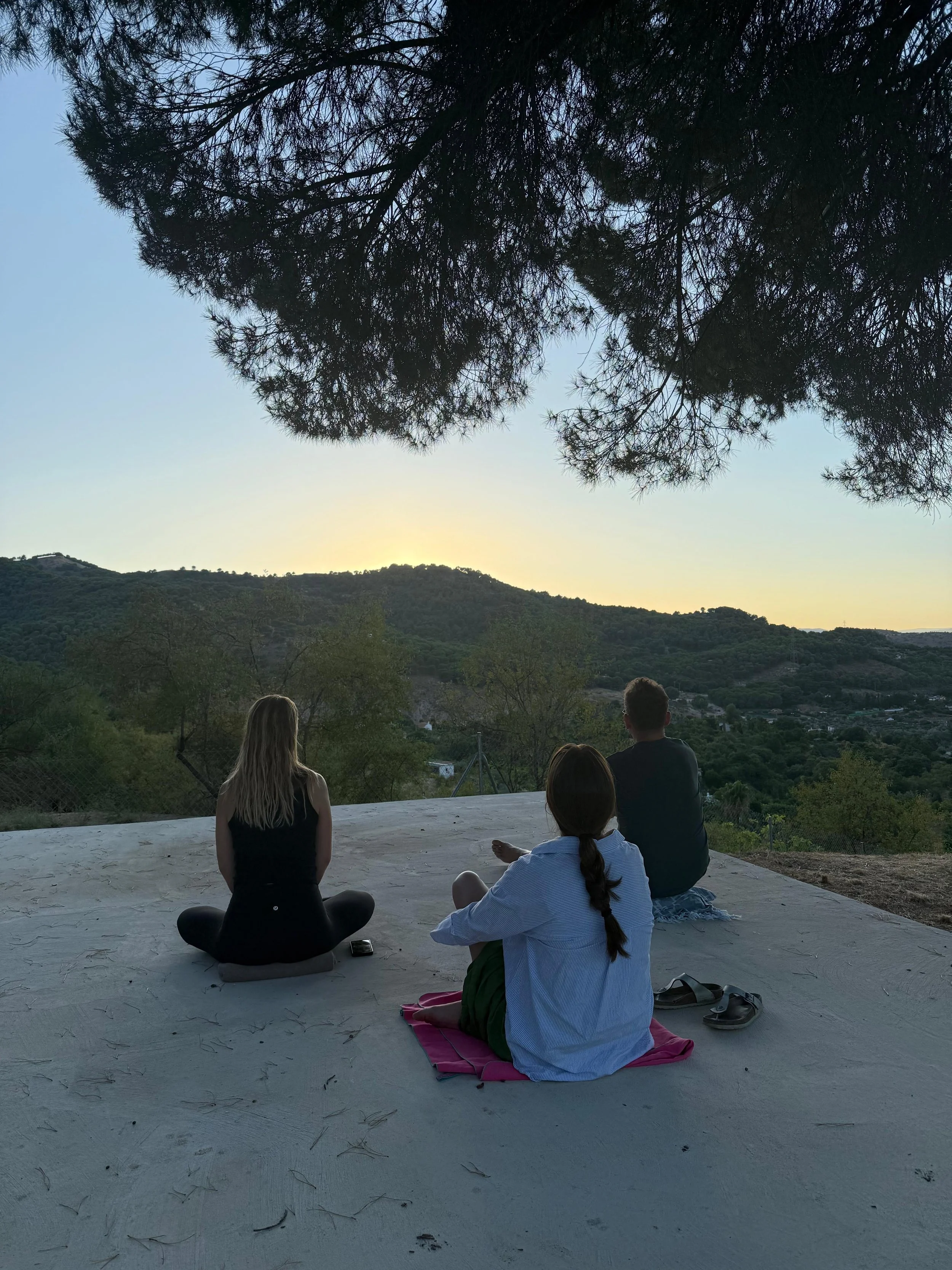 WhatsApp Image 2025-12-10 at 14.10.03 (5).jpeg