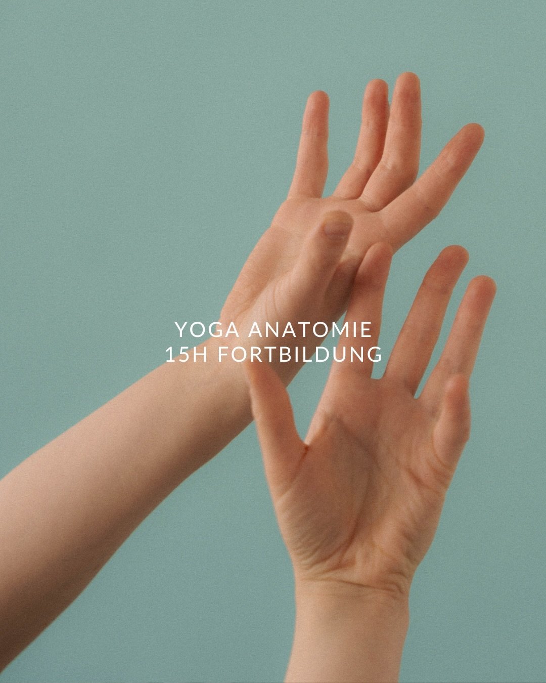 Anatomie ist kein trockener Zusatz zum Yoga &ndash; sie ist der Boden, auf dem pr&auml;zises, achtsames und gesundes Unterrichten entsteht. 🤲 In unserer 15h Fortbildung tauchst du zwei Tage lang gemeinsam mit Mara @maralehyoga &amp; Muriel @mue.oste
