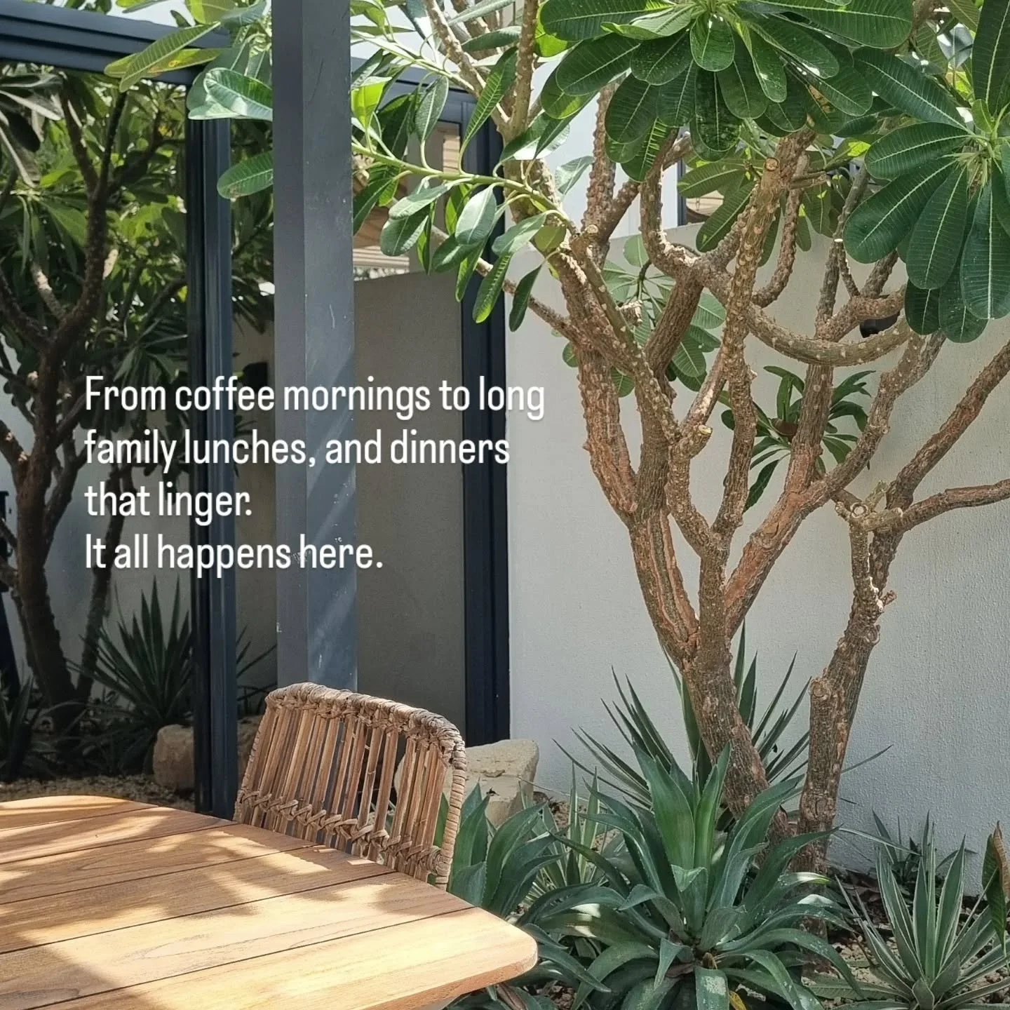 Small footprint, maximum impact. 🌿

Compact, calm, and quietly confident. Four and a half years on, this 6&times;6.5m pocket garden feels fully settled, with architecture and planting working as one.

#PocketGarden #ContemporaryGarden #DubaiGardenDe