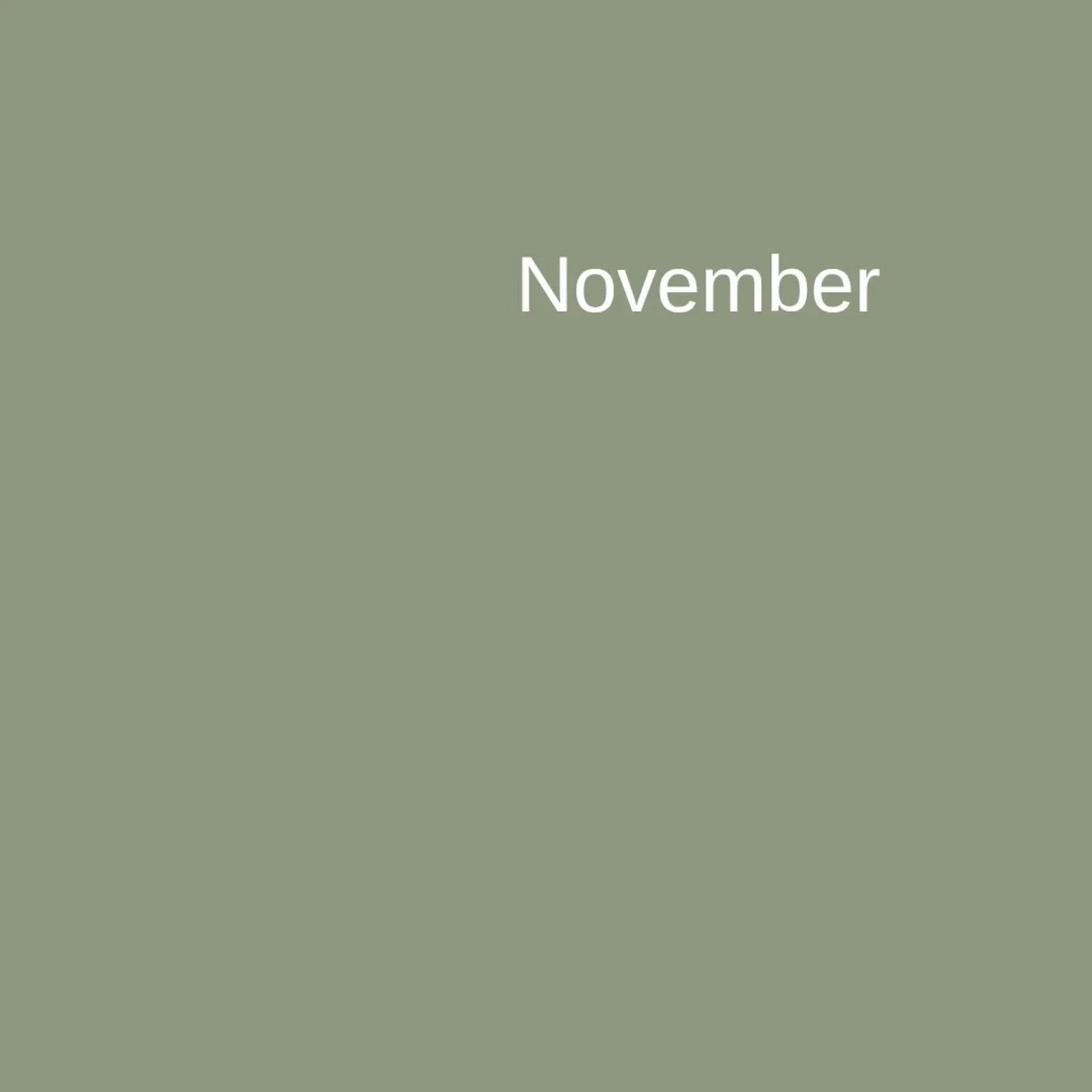 November. Grid pause. Slow down. Breathe.