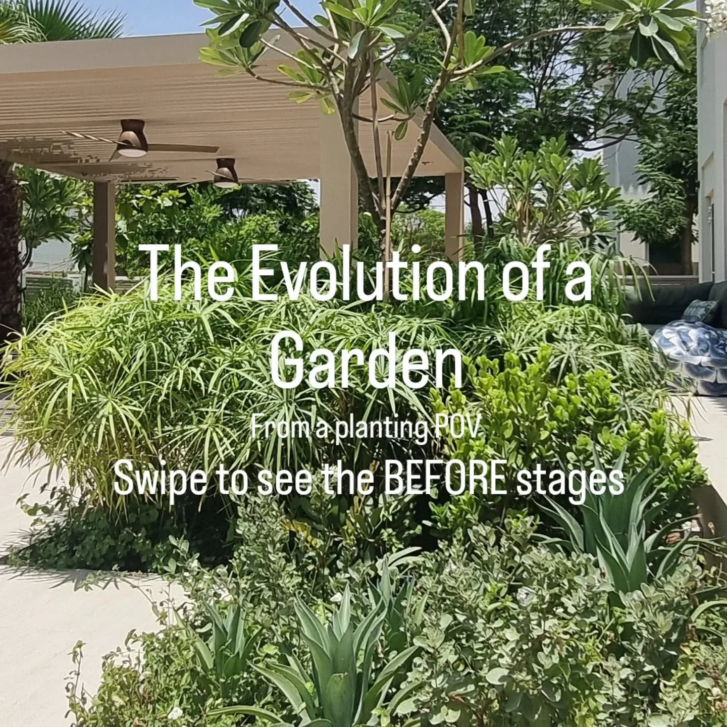 It starts with a plan. It ends with a garden.

Thoughtful outdoor design is an exercise in patience. The early stages are about decisions you won&rsquo;t immediately see &mdash; structure over show, proportion over fullness, and an understanding of h