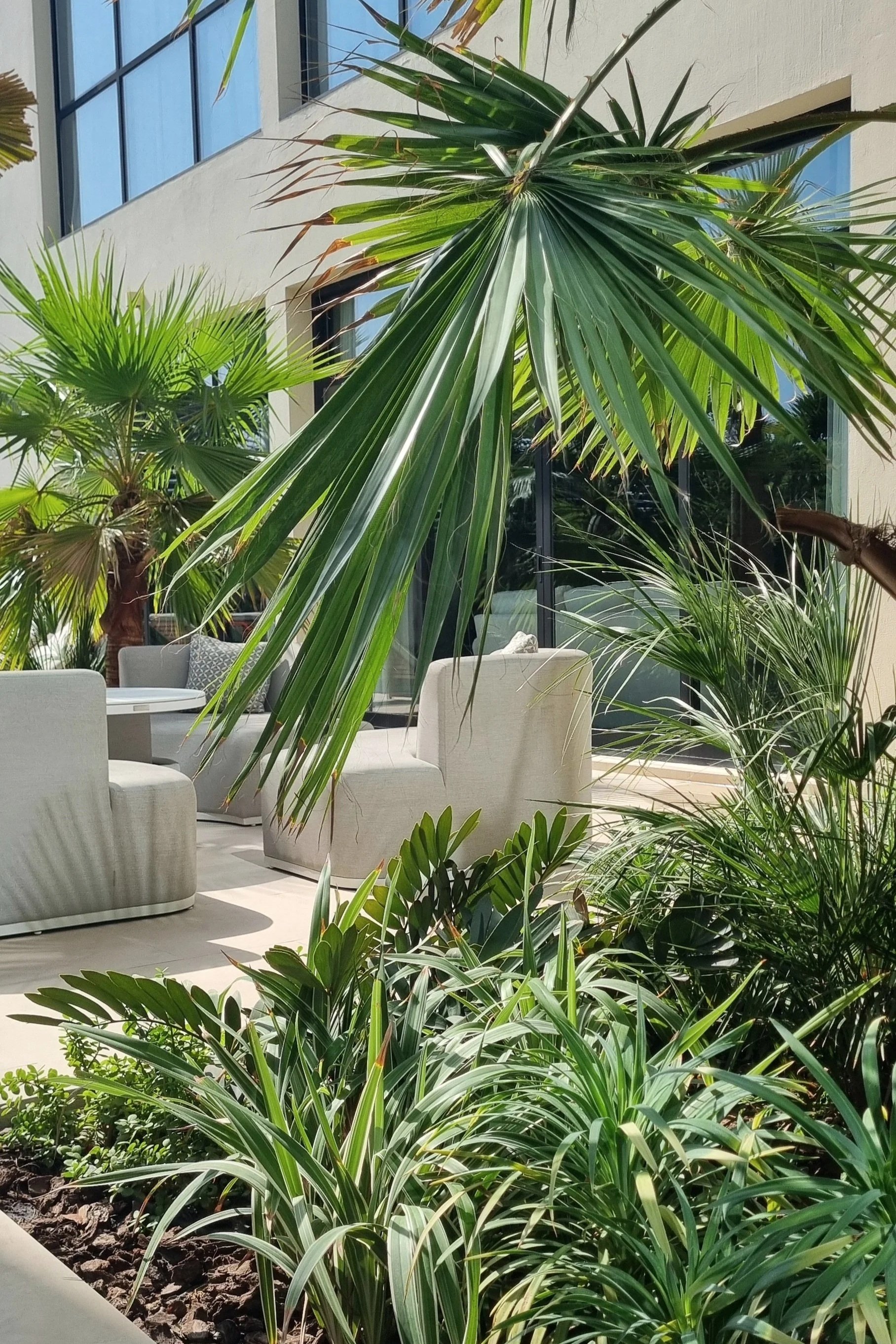 The Hidden Problem With Skinny Boarders and Raised Planting Beds in UAE Gardens