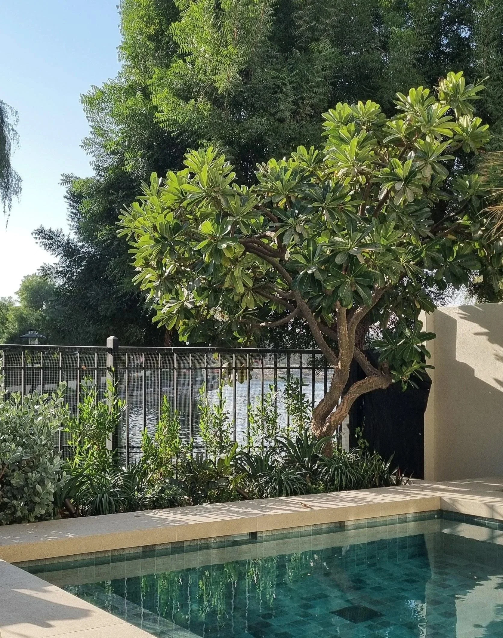 Small Gardens, Big Impact: Why Intentional Design Makes All the Difference