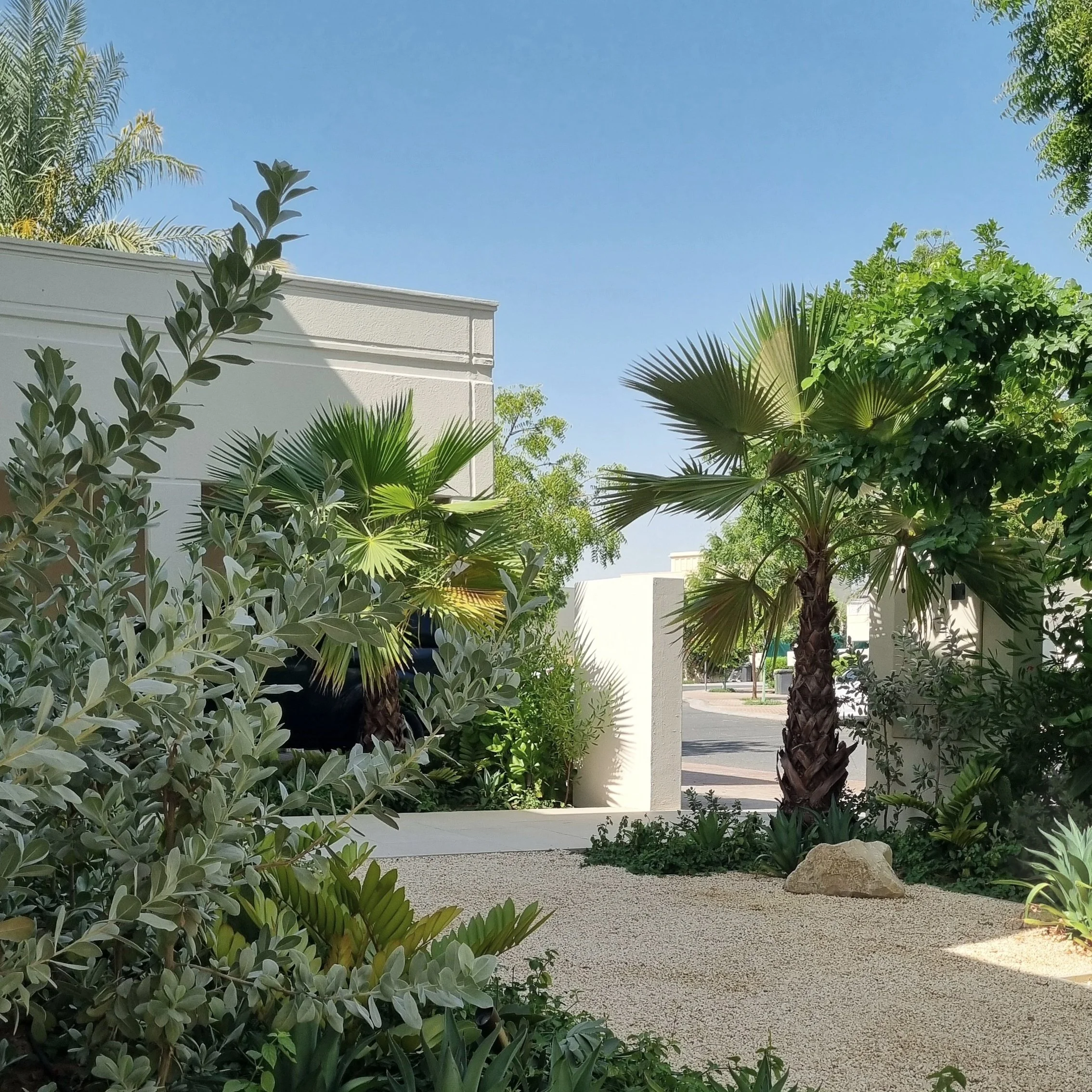 Beyond Trends: A Designer’s Guide to Timeless Luxury Gardens in Dubai
