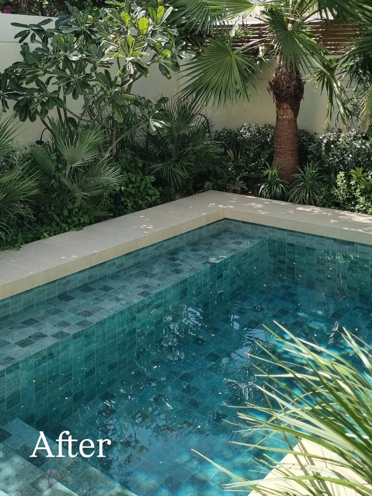From undefined space&hellip; to a shady pool oasis. SWIPE to see the 'Before'. 

The perfect spot to lounge, listening to birdsong, with a cool beverage or a good book, surrounded by nature&rsquo;s calming green.

A place to breathe, in a world that 