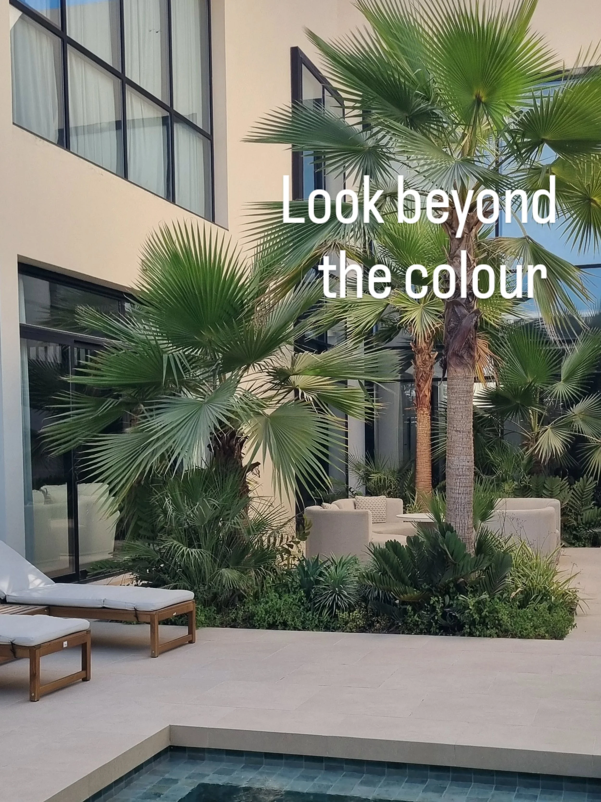 What if we took the colour away?

Would the design still hold your attention?
Swipe to see this transformation unfold: from the original space, to the finished garden in black &amp; white, and finally in full colour.

The monochrome image strips away