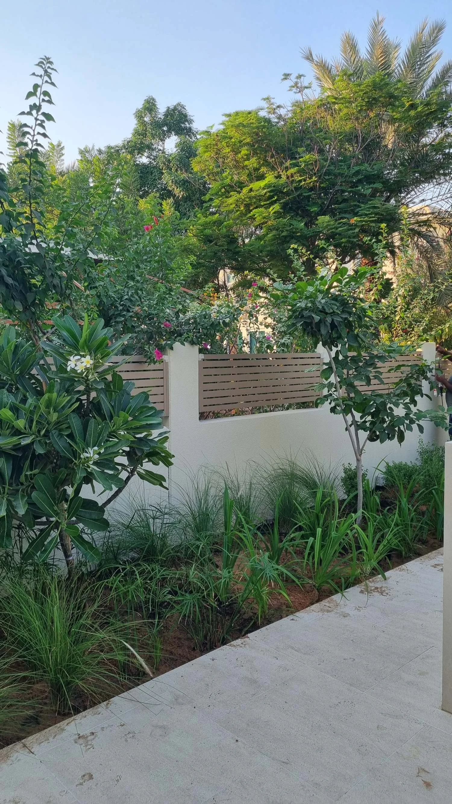 Al Furjan Quortaj 4 garden - landscape design-dubai-12.jpeg