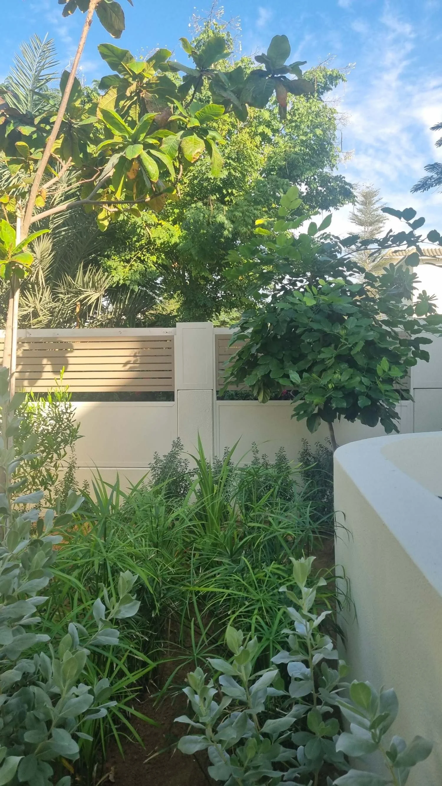 Al Furjan Quortaj 4 garden - landscape design-dubai-09.jpeg