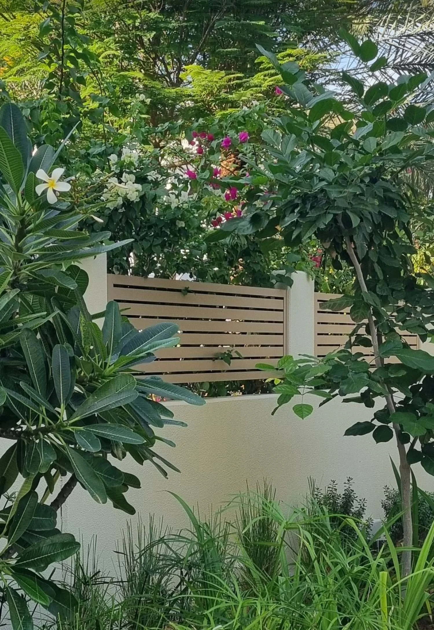 Al Furjan Quortaj 4 garden - landscape design-dubai-11.jpeg