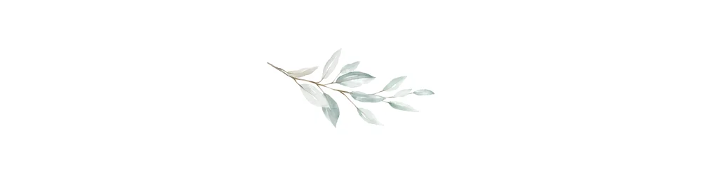 OLIVE.jpg