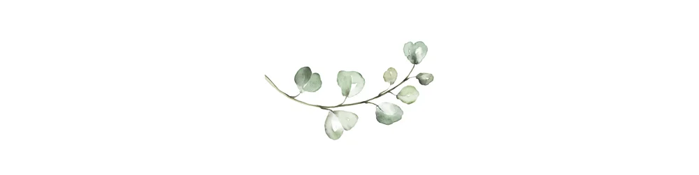 eucalytpus.jpg