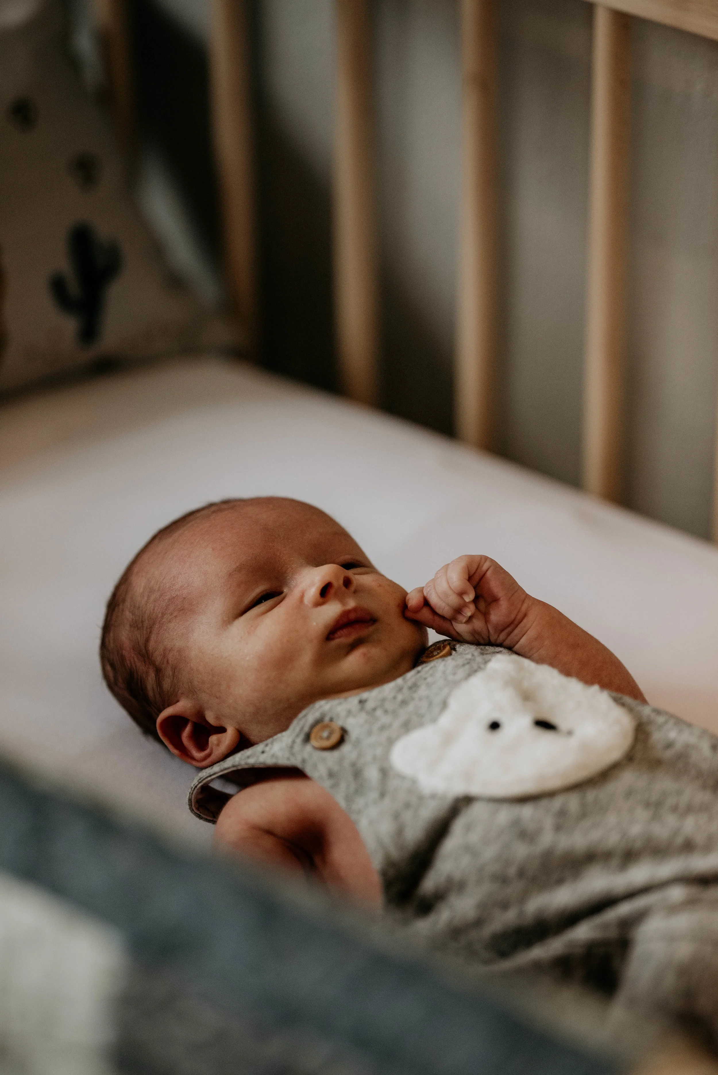 Chanel Oosthuizen Photography_6261.jpg