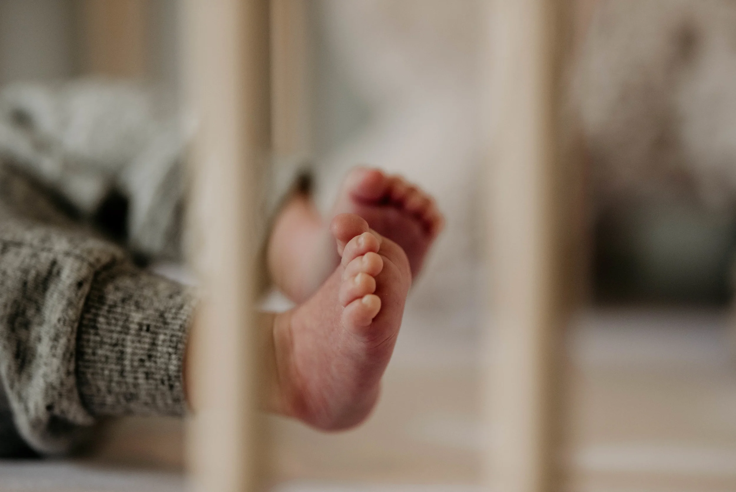 Chanel Oosthuizen Photography_6267.jpg