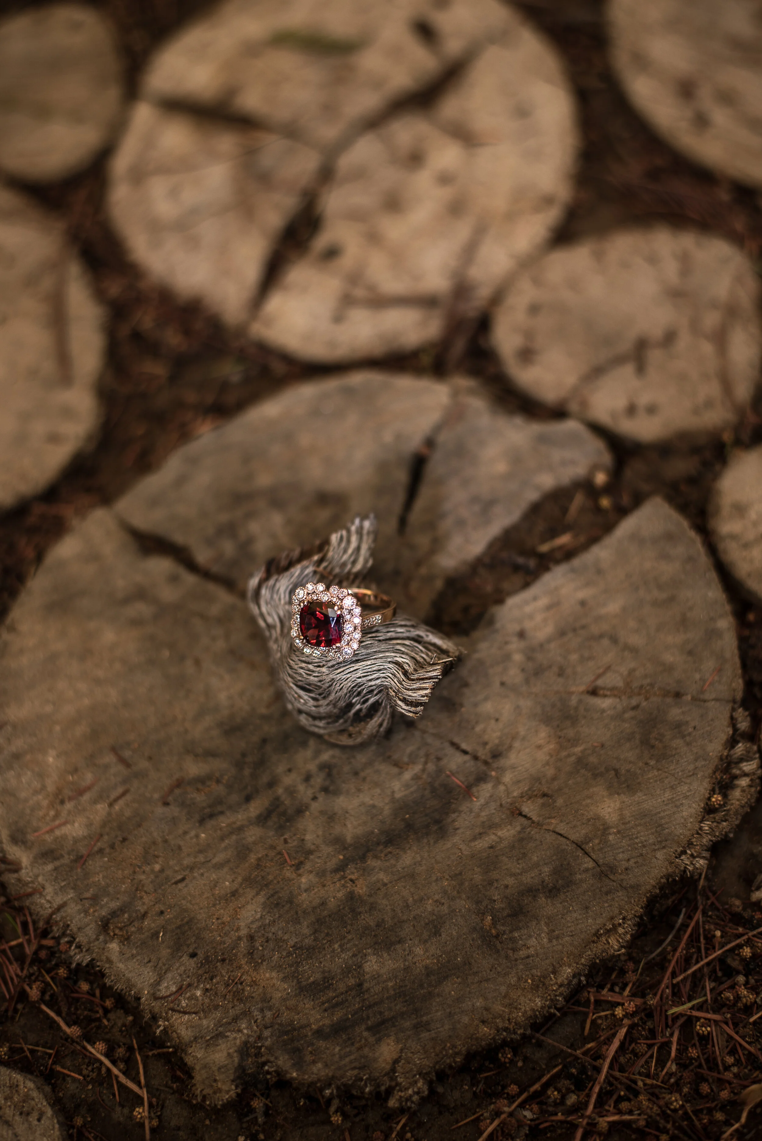 Chanel O Photography_Sune Bump Session-3.JPG