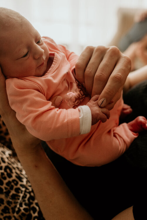 Bump to Baby - BUNDLE 3 ~ R9450