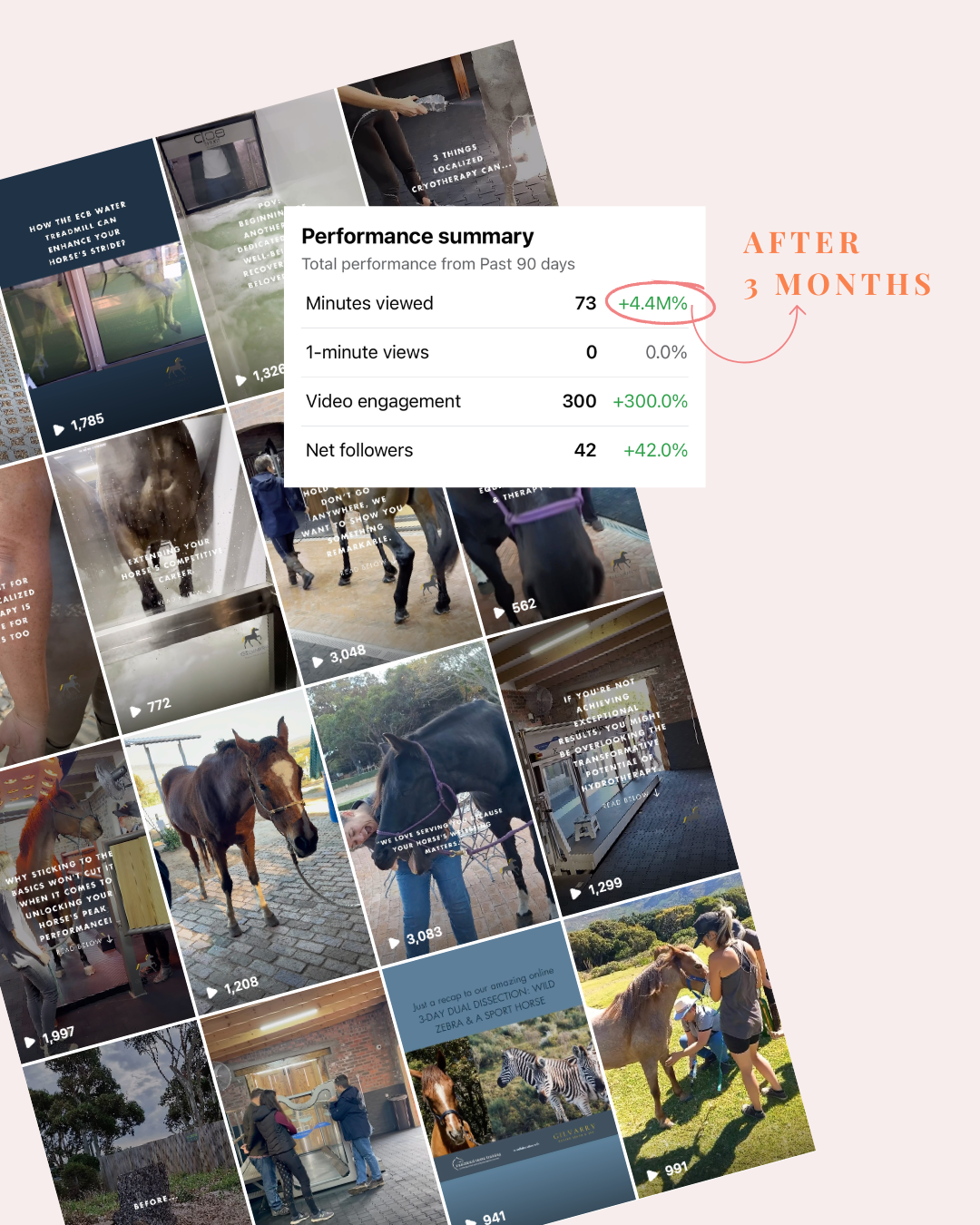 Performance summary overlay on a collage of horse-related videos and images, showing a 3-month increase in video metrics including minutes viewed, engagement, and followers.