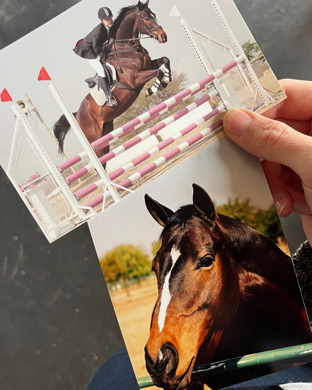 A person holding photographs of a horse and a rider in an equestrian jumping event.
