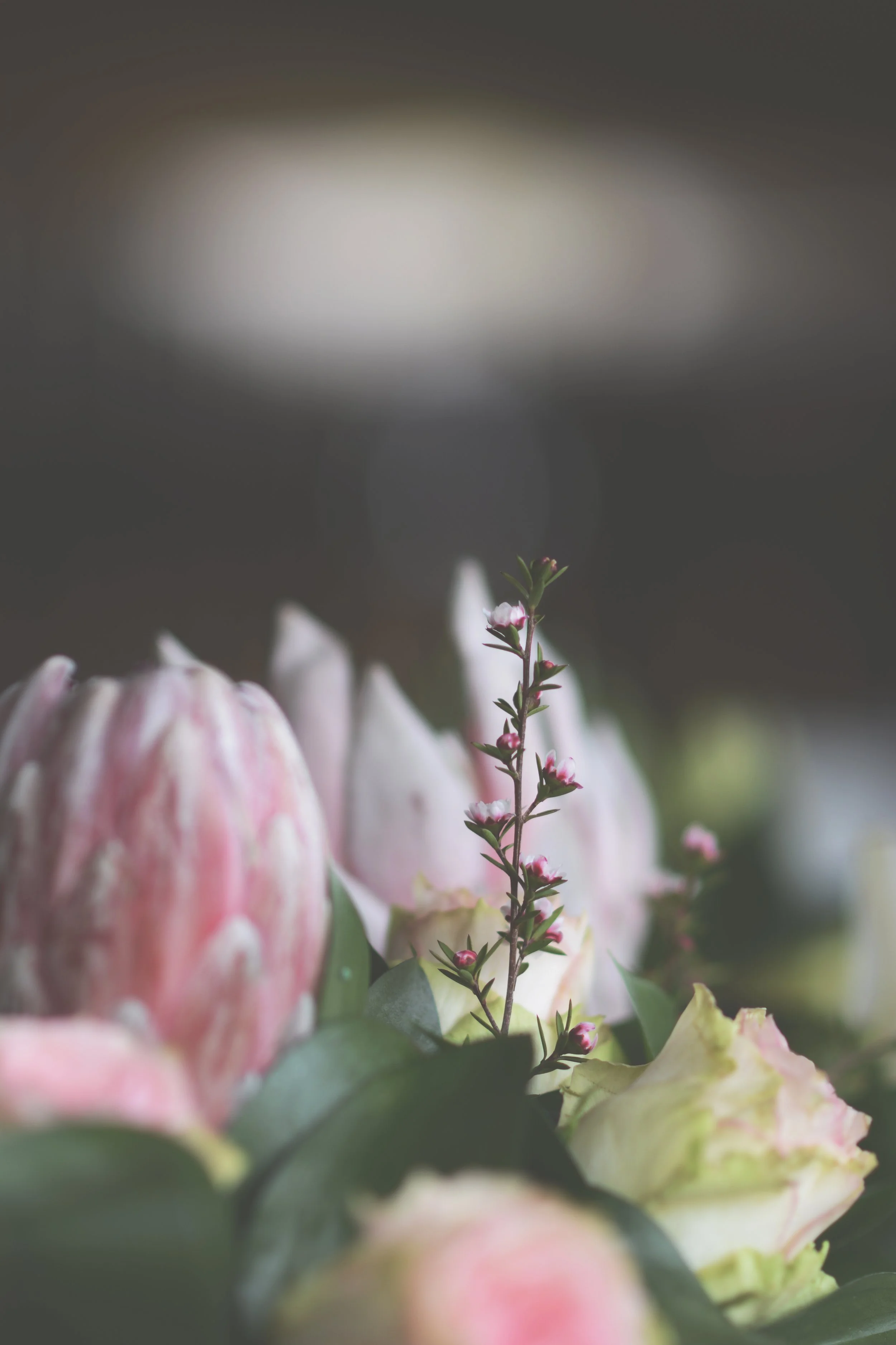 Close-up of pink and white flowers with green leaves in a bouquet, blurred background.