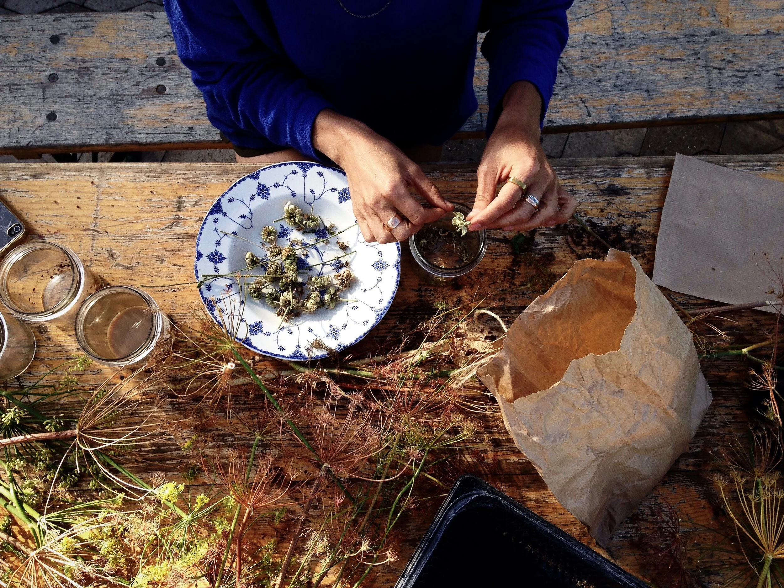 Billede til SoME_undervisning.jpeg