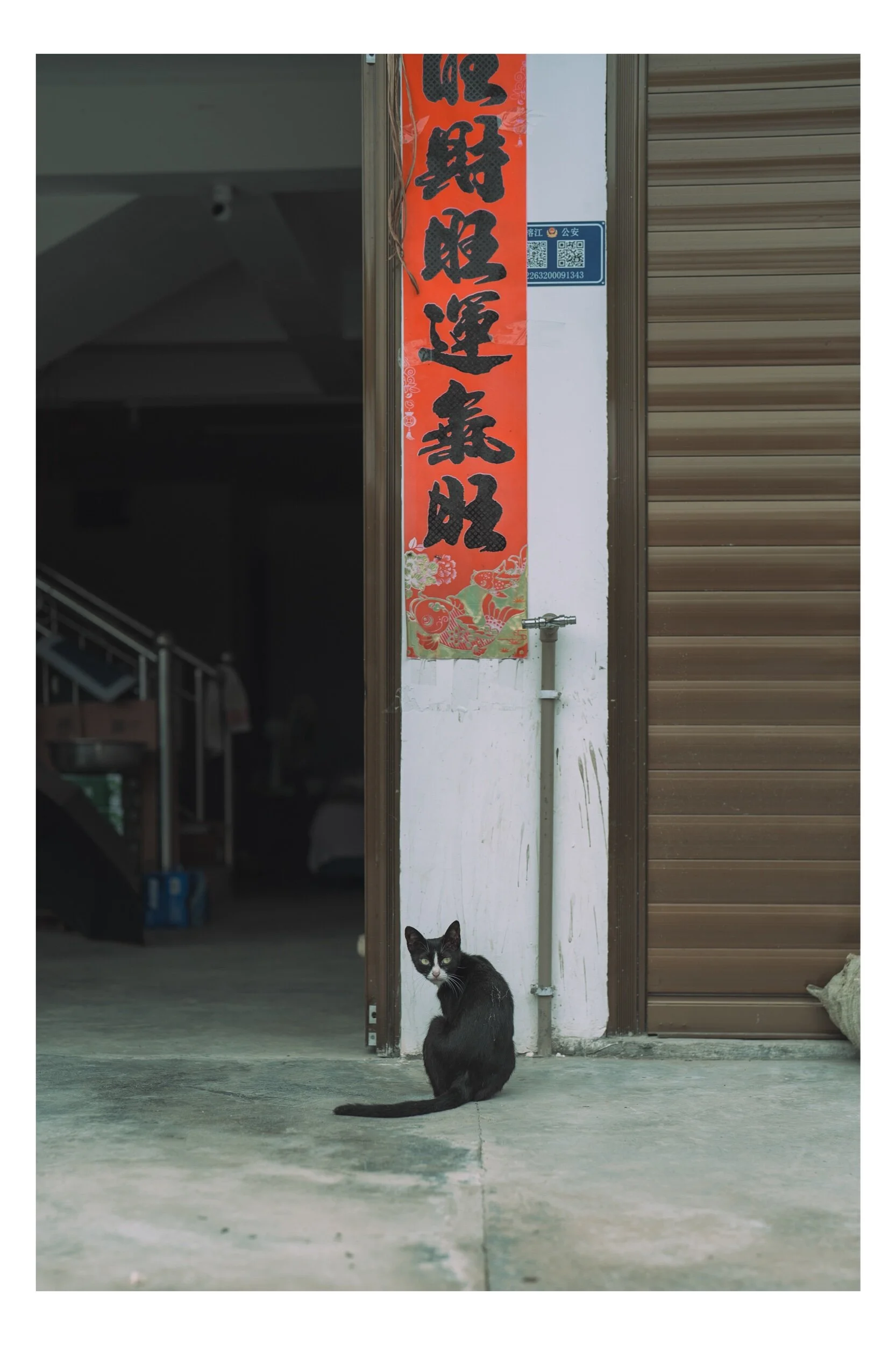 3F9ADF71-9A71-47C8-B39E-C1BB4D960773