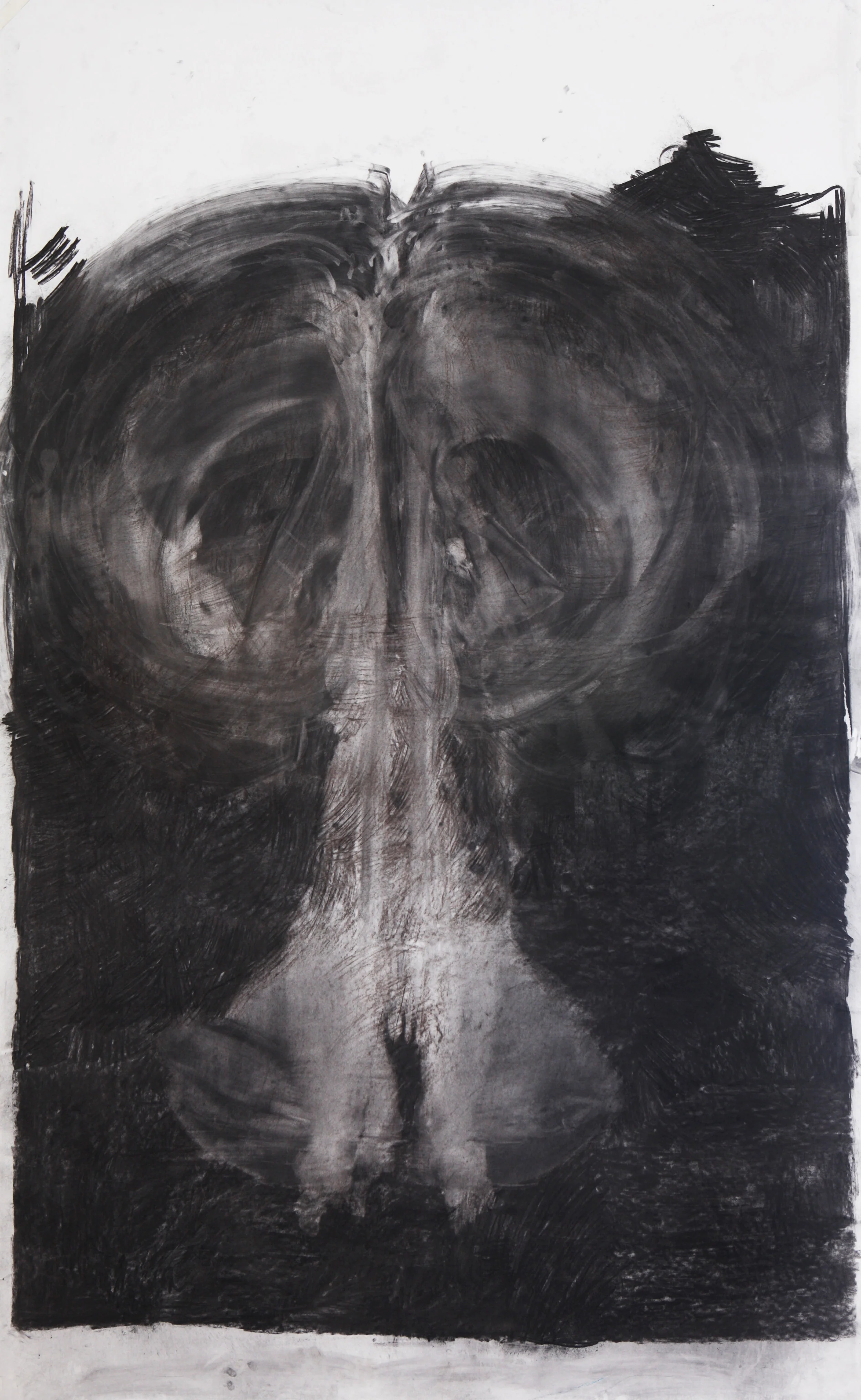  charcoal on paper, ca. 150x250 cm. 