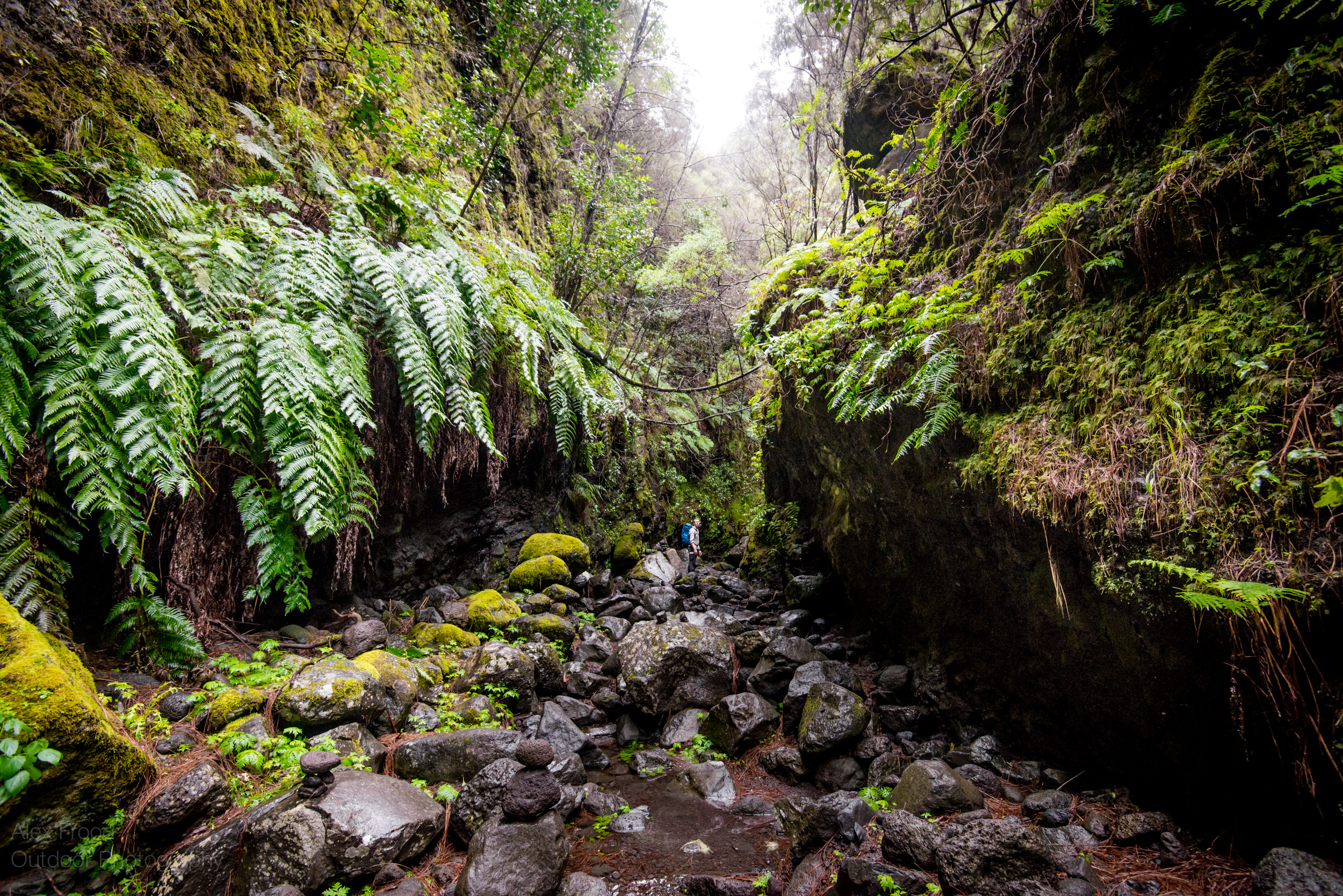 La Palma-4.jpg