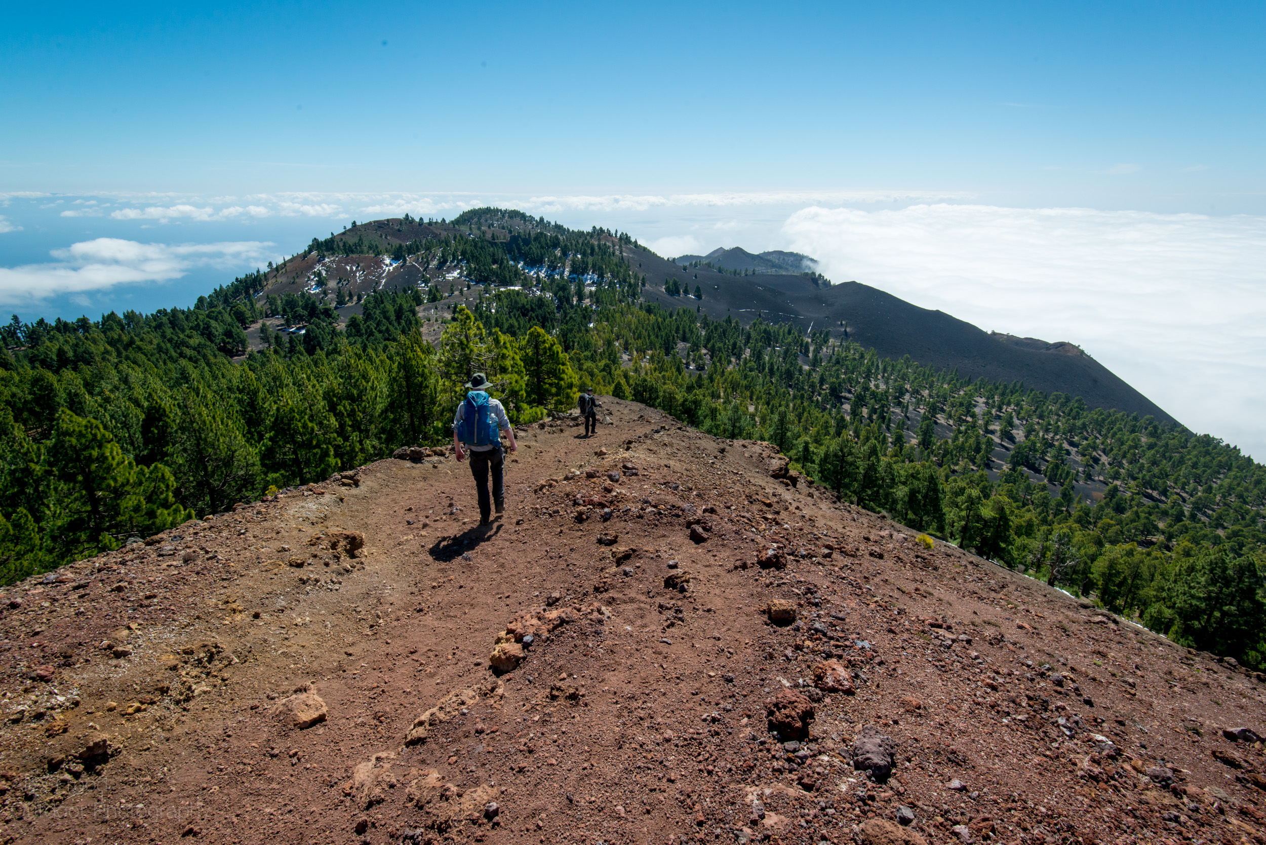 La Palma-16.jpg