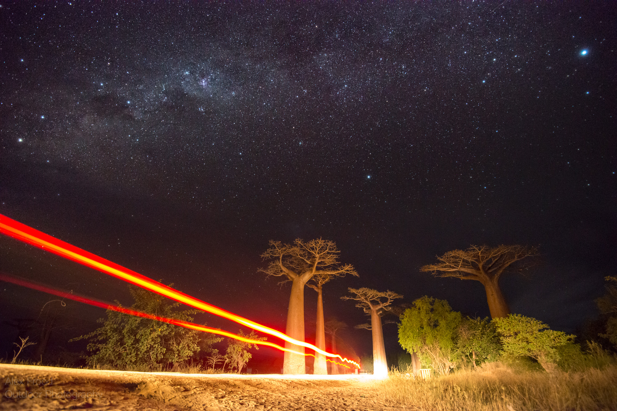 Avenue of the Baobabs, Madagascar 