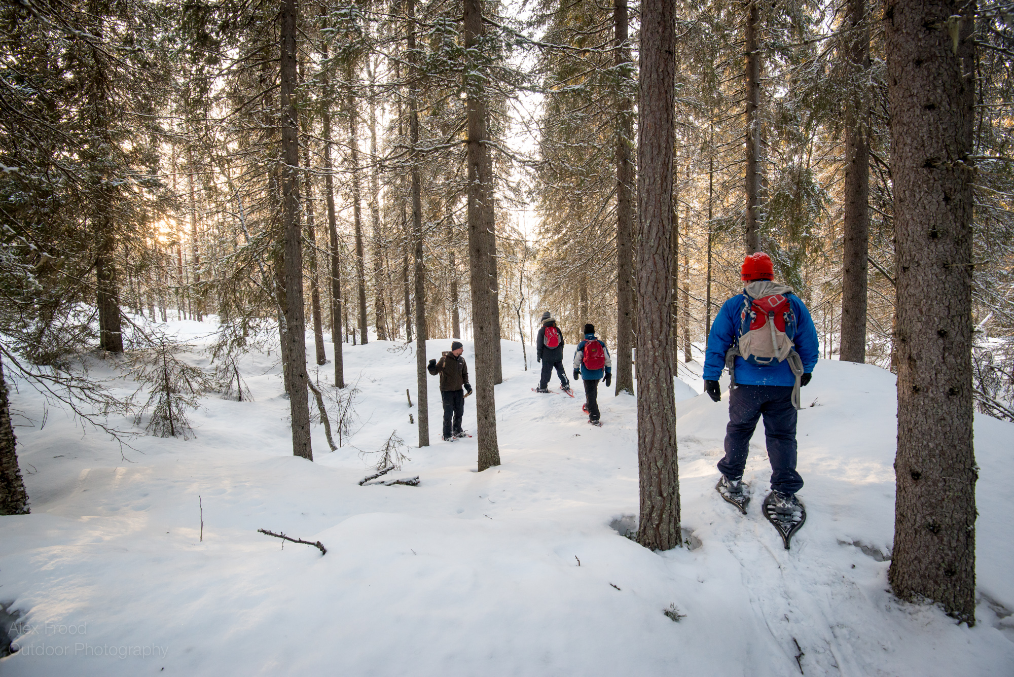 Finland_Snowshoeing_AlexFrood_20-2.jpg