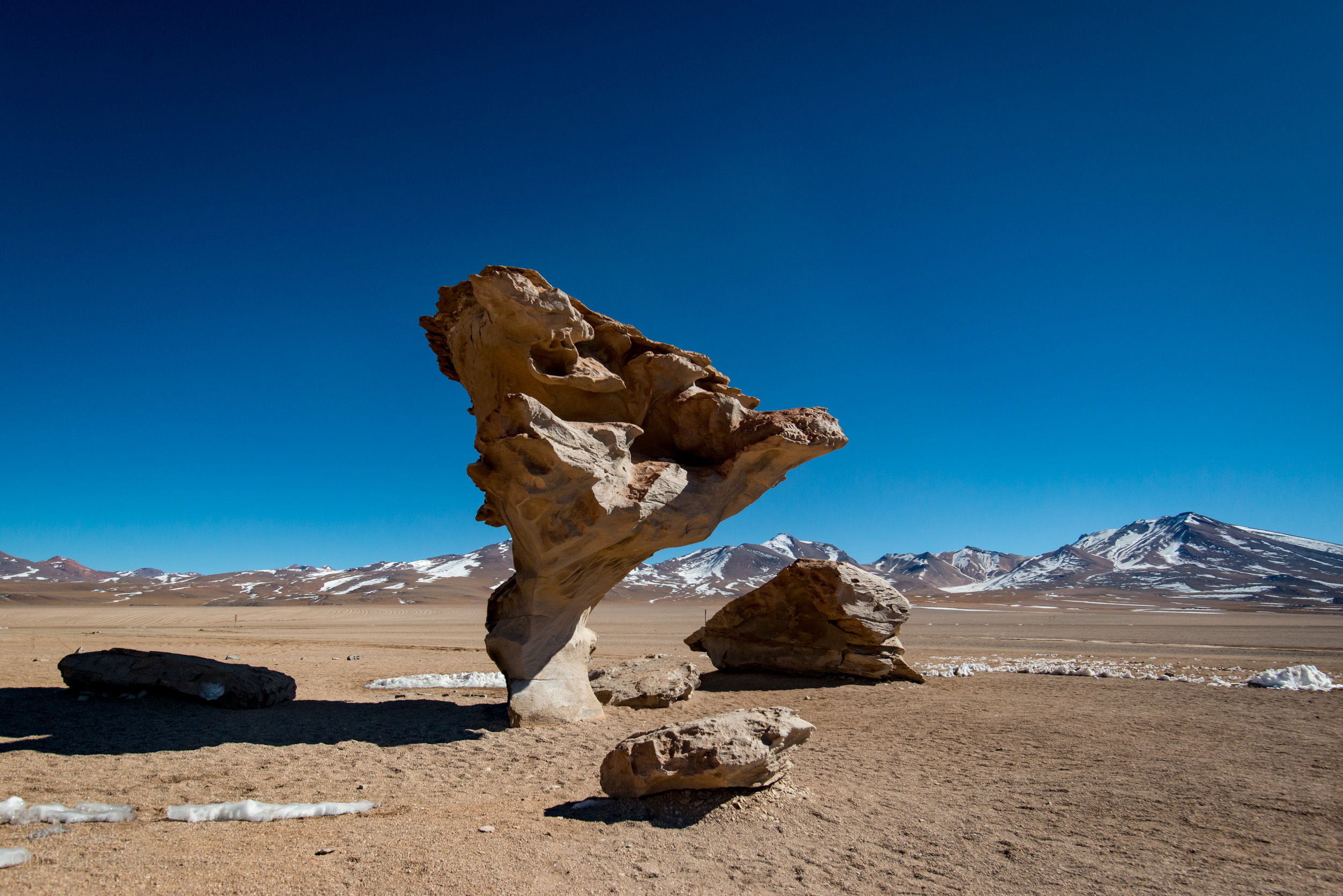 Stone Tree, Bolivia