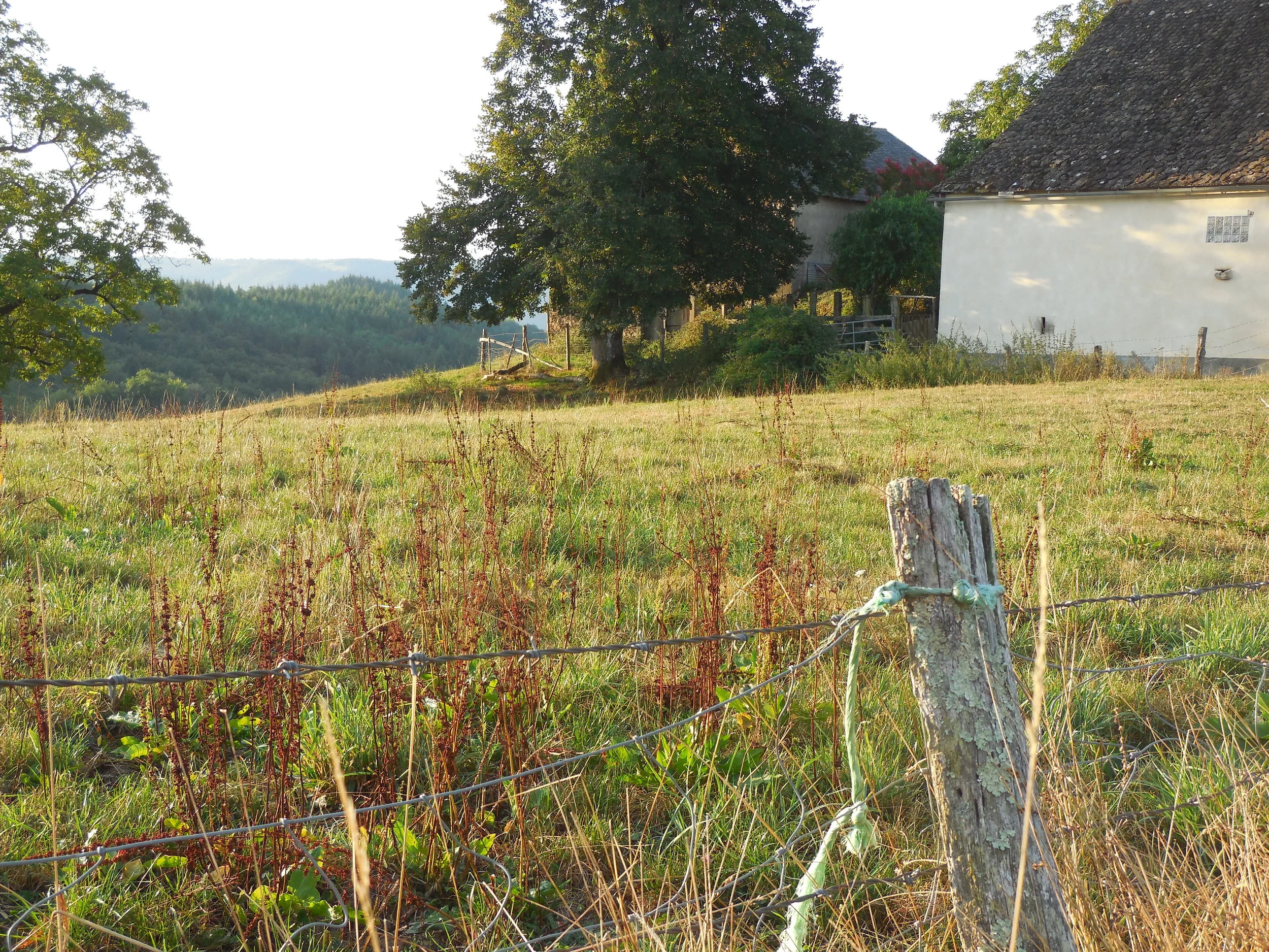 Collonges sur Rouge