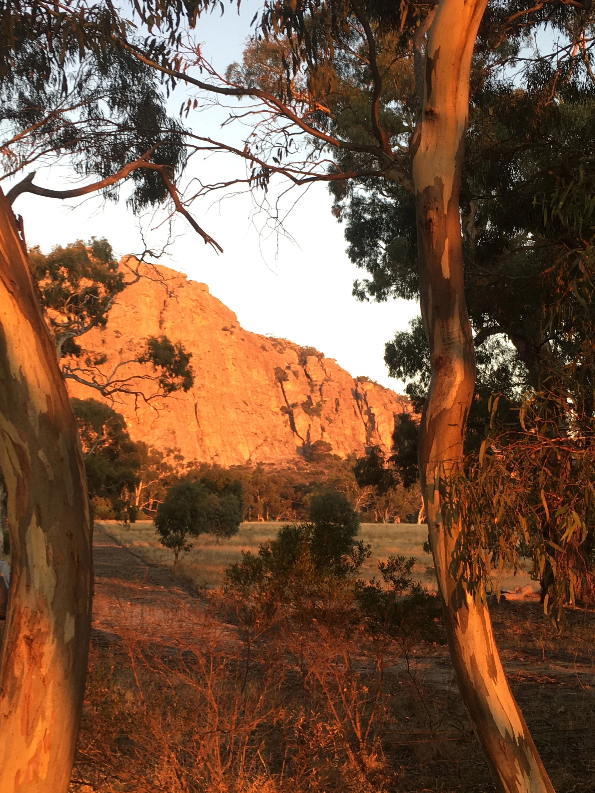 Sketches of Arapiles