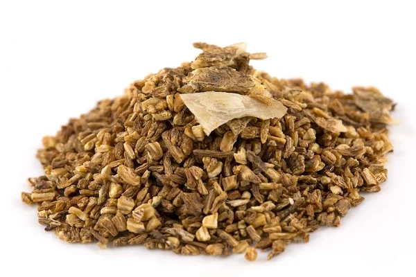 Dong_Quai_Root_Organic.jpg