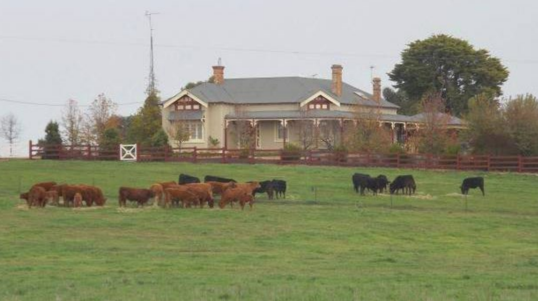 NSW trophy farms sold by yachtsman Simon Kurts, hotel investor Craig Smith - The Land