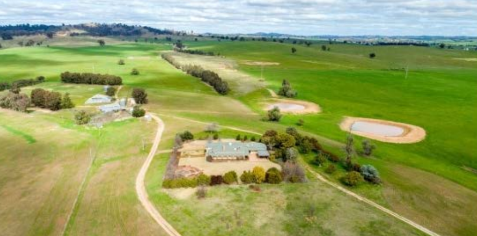 Wagga's Birubi offers versatility - Beef Central