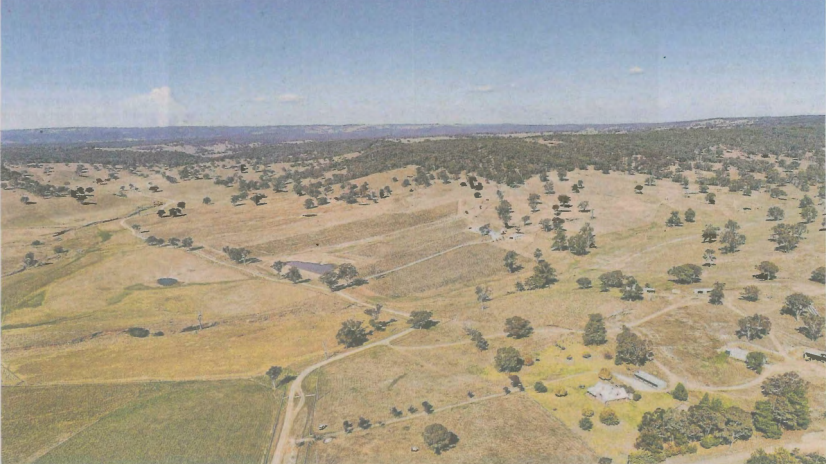 Wool and wine on the Warrangunia