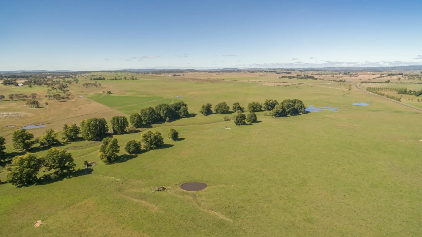 Rural property sales finish the year on a strong note - The Land