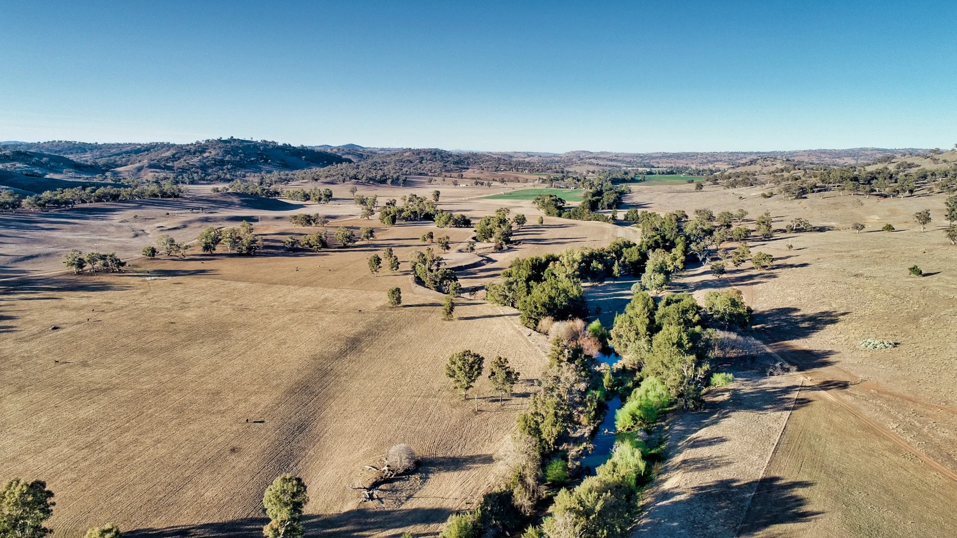 A Bell River bell-ringer - Domain Rural