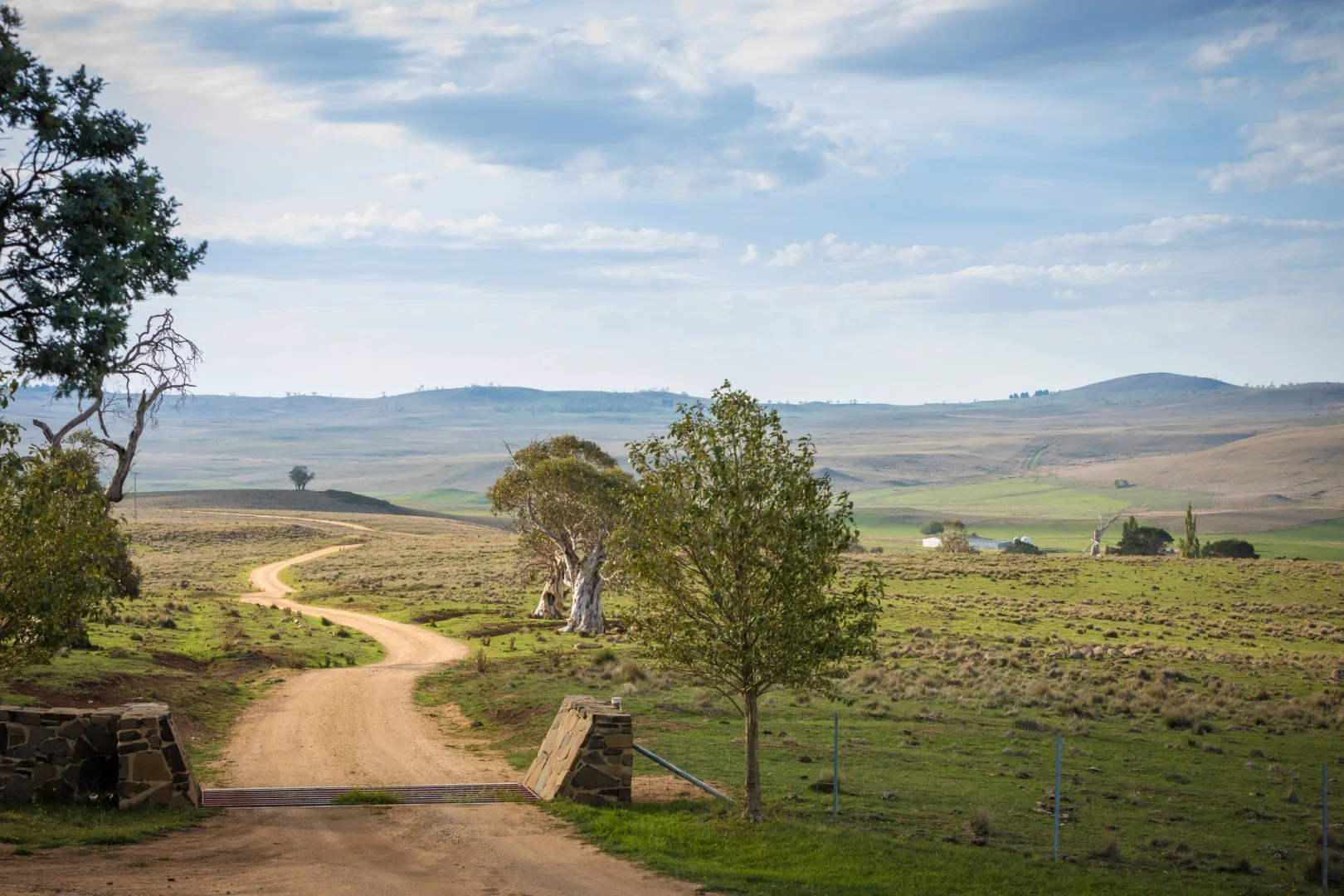 Quality still in demand - The Land