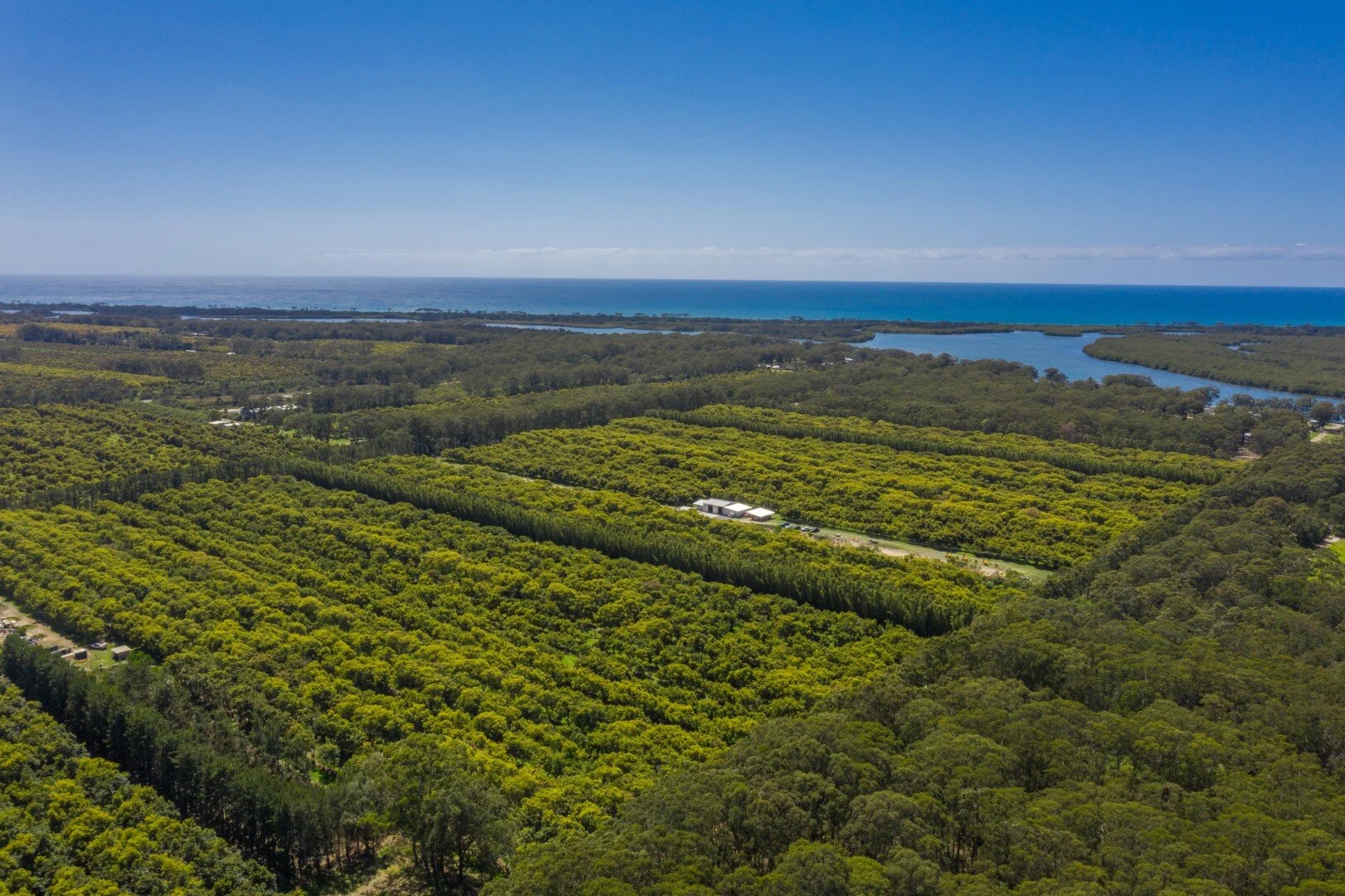 A Smashing Investment - The Land