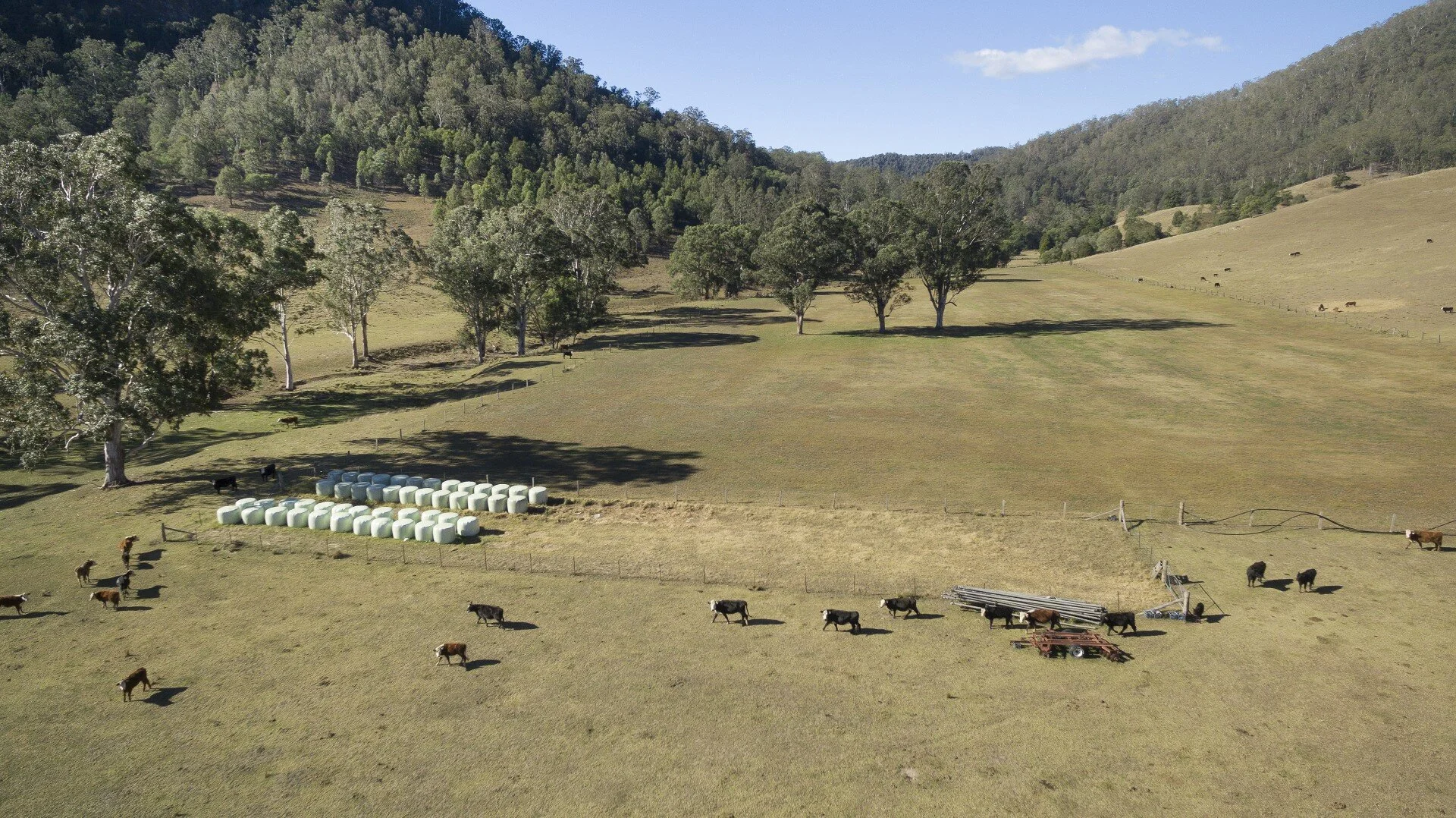 Quality Breeding Country - The Land